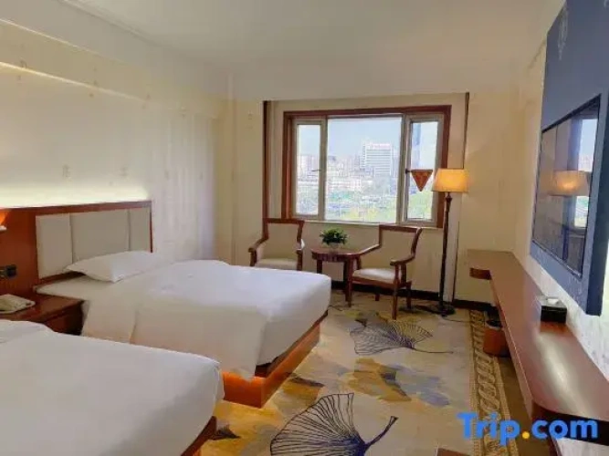 Standard Double room with city view