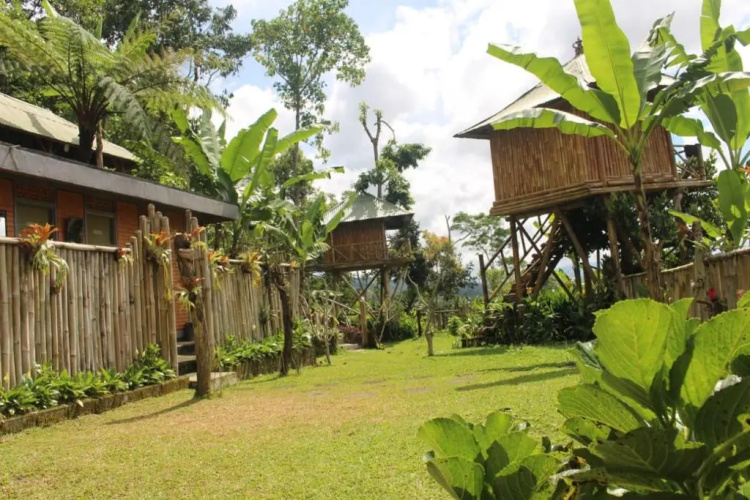 Bali Tree House Pelangi