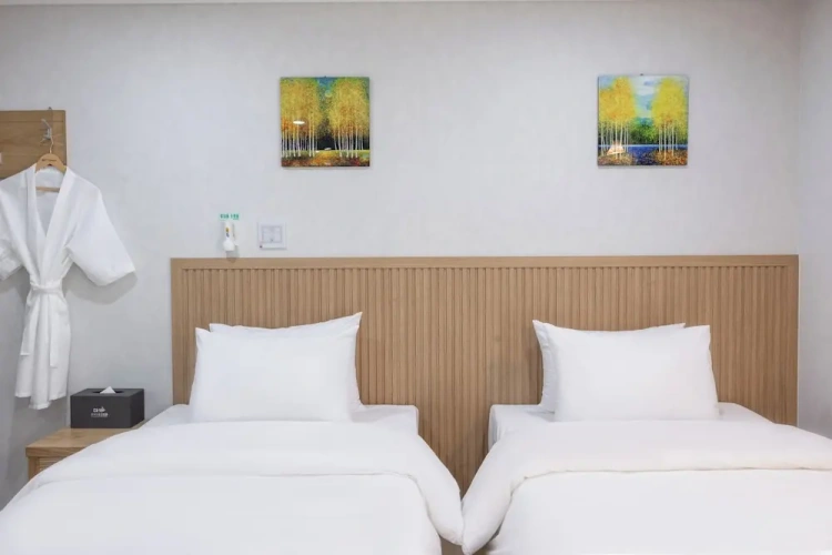 Deluxe Twin room