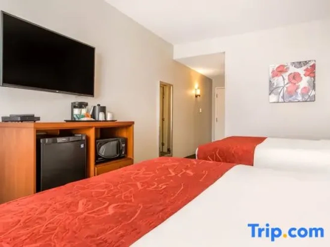 Quadruple Suite