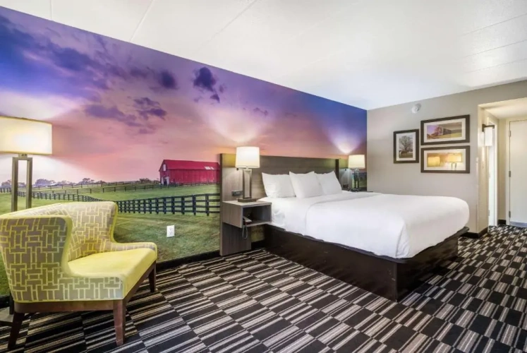 Standard room