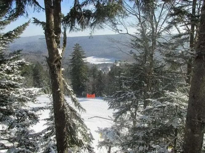 Stemwinder #8:3 Bedroom/3.5 Bath Slopeside