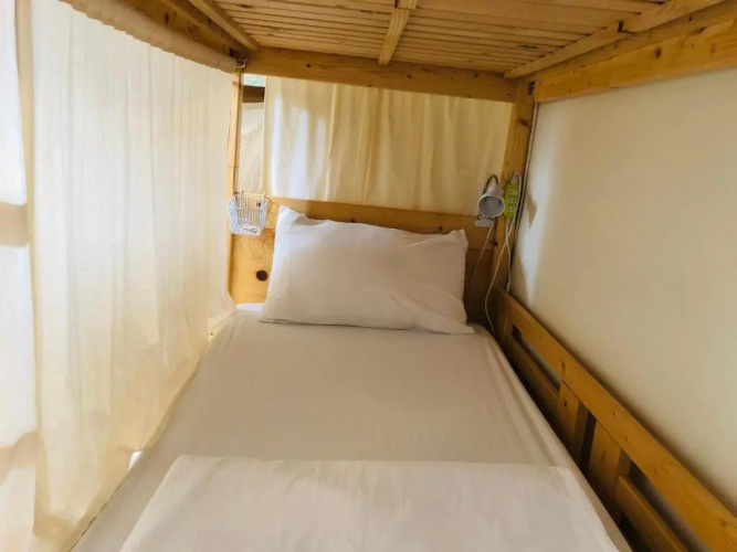 1981 Hostel