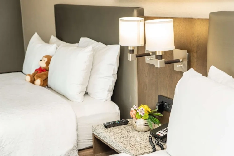 Hearing Accessible Twin room
