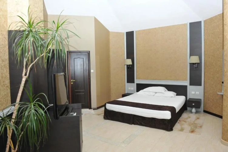 Junior Suite with balcony and with view