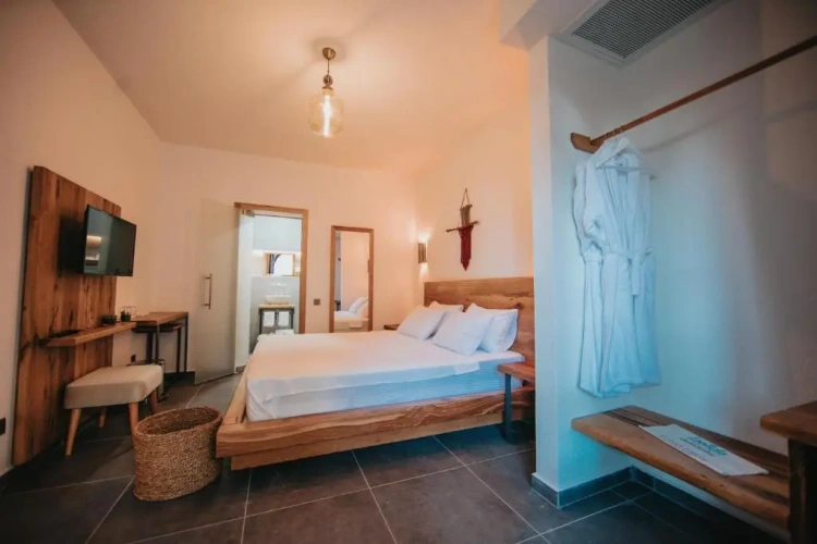 Standard Double room with garden view