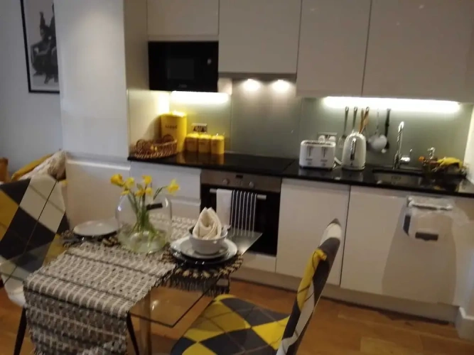 1 Bedroom Apartment with city view