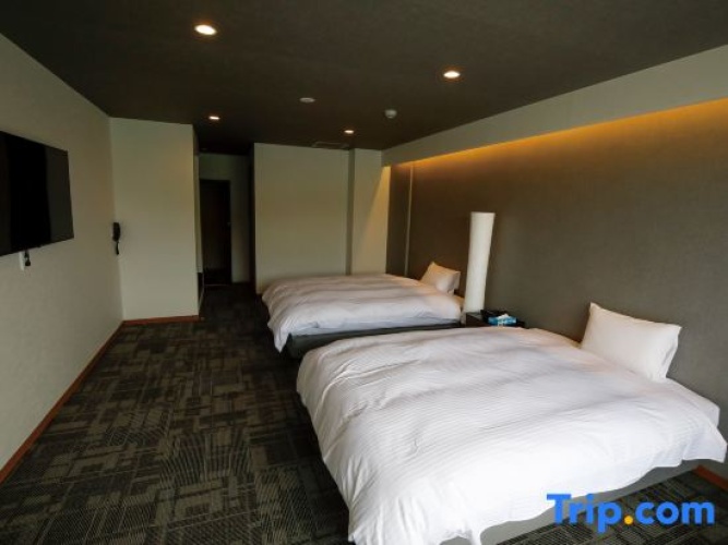 Standard Twin room with lake view