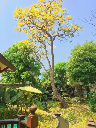 Premier Villa
