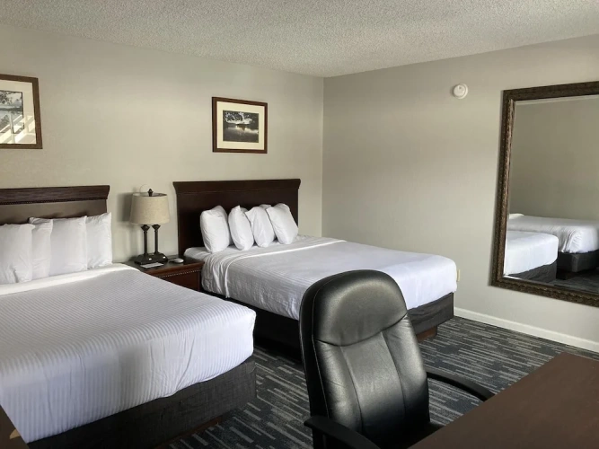 Superior Quadruple room