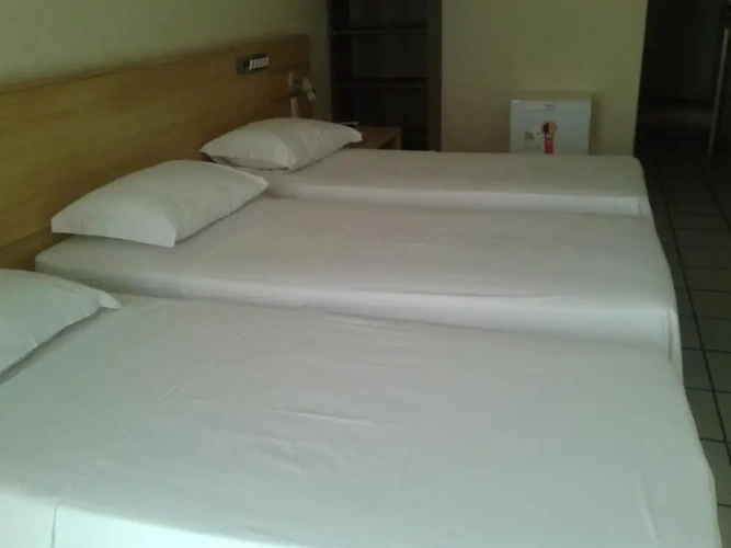 Standard Twin Apartment