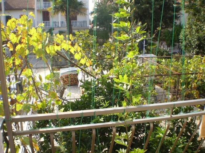 2 Bedrooms Apartment with balcony