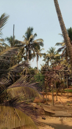 Shiva Ashvem Hotel