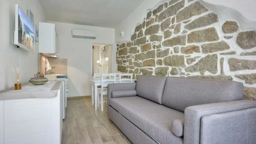 1 Bedroom Superior Suite