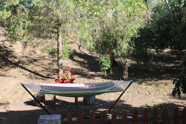 Studio with garden view