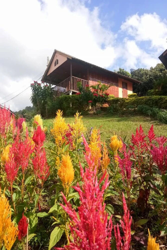 Phucheefah Homestay