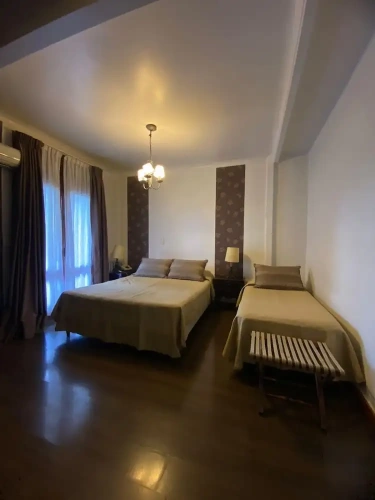 Standard Double room with balcony and with view