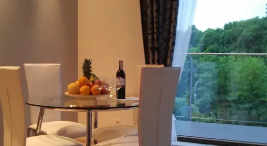 Apartament przy Focha