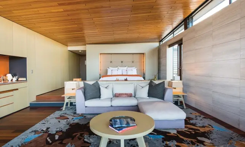 Luxury Suite