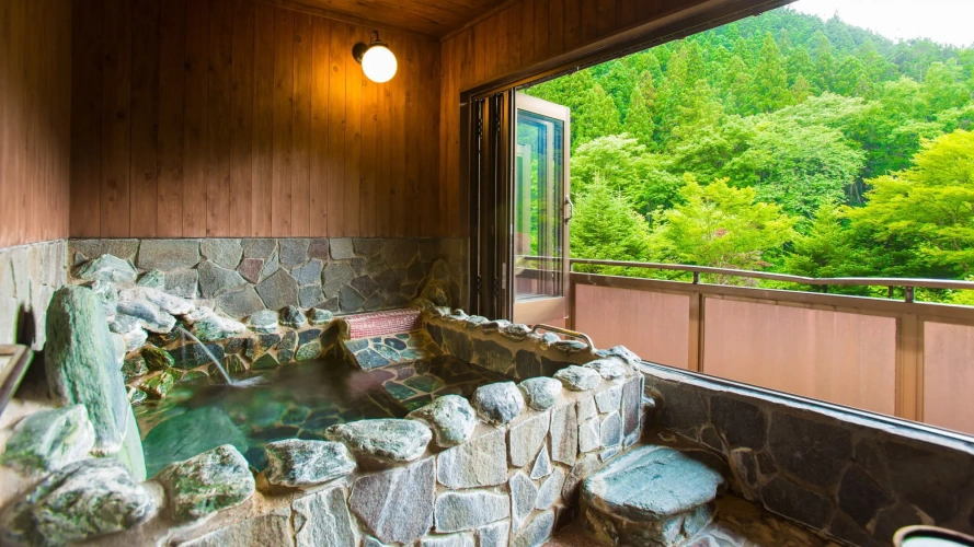 Deluxe room with mountain view
