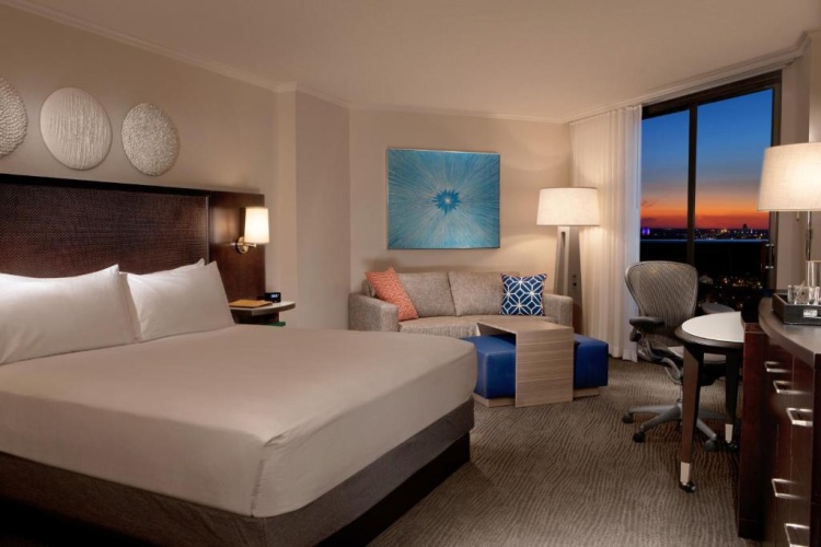 Epcot Fireworks view Double room