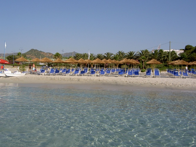 Simius Playa photo 19