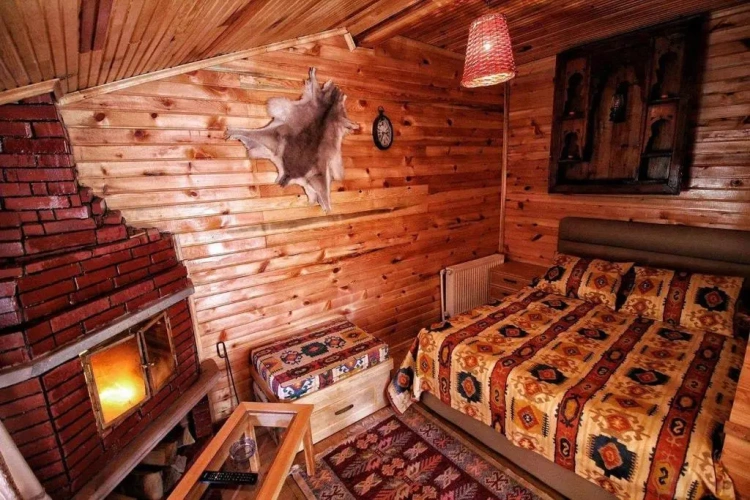 Chalet with view
