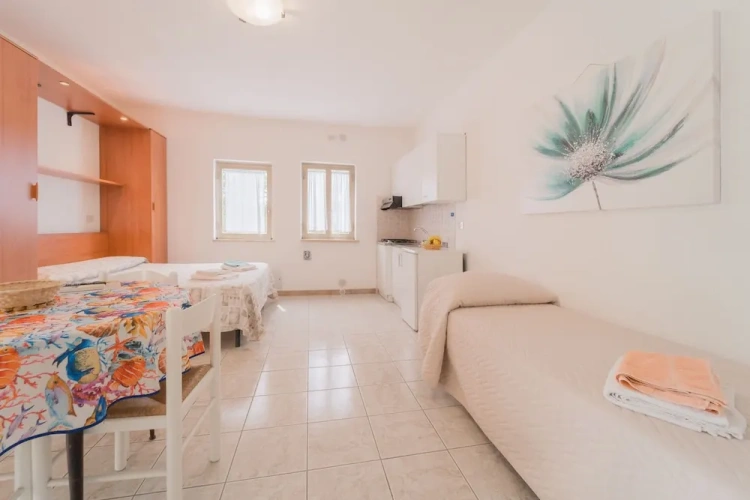 1 Bedroom Classic Studio