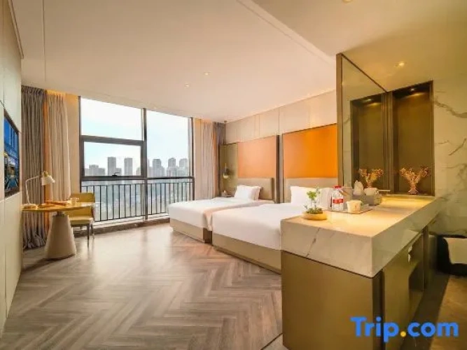 Deluxe Twin room with city view