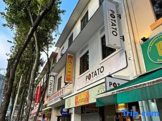 Potato Boutique Hostel
