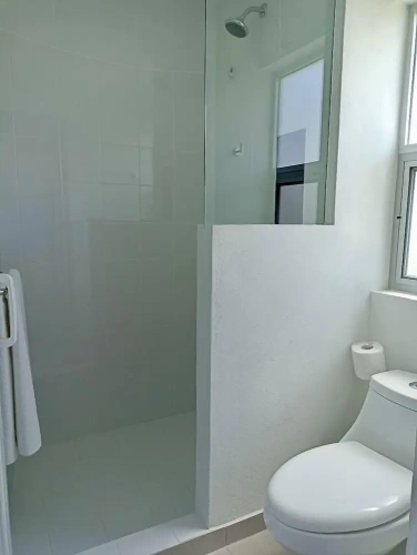 Comfort Suite
