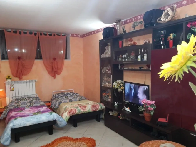 Family Studio