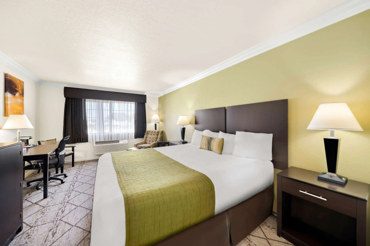Standard Double room