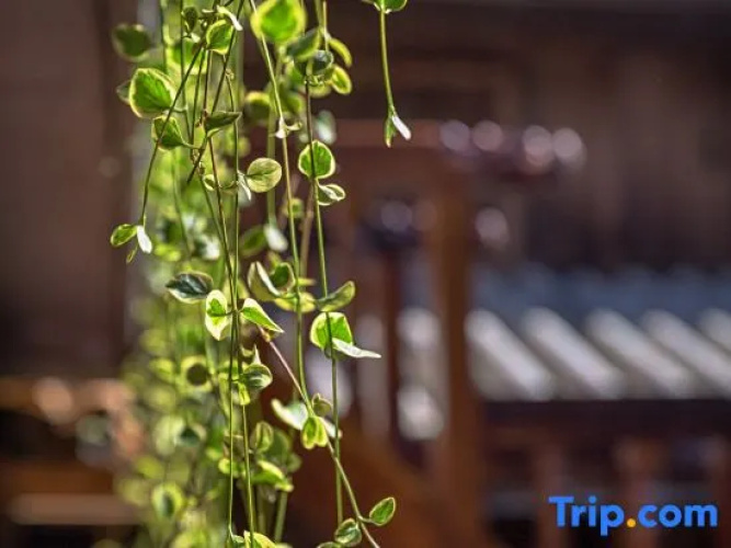 Chuniaochao Boutique Vacation Inn
