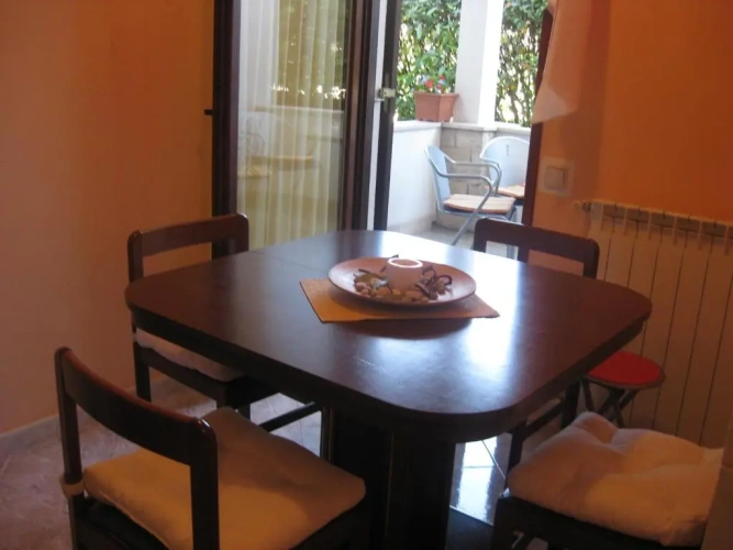 1 Bedroom Apartment with balcony and with view