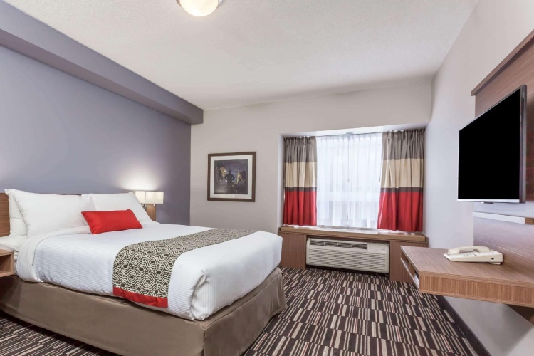 2 Bedrooms Double Suite