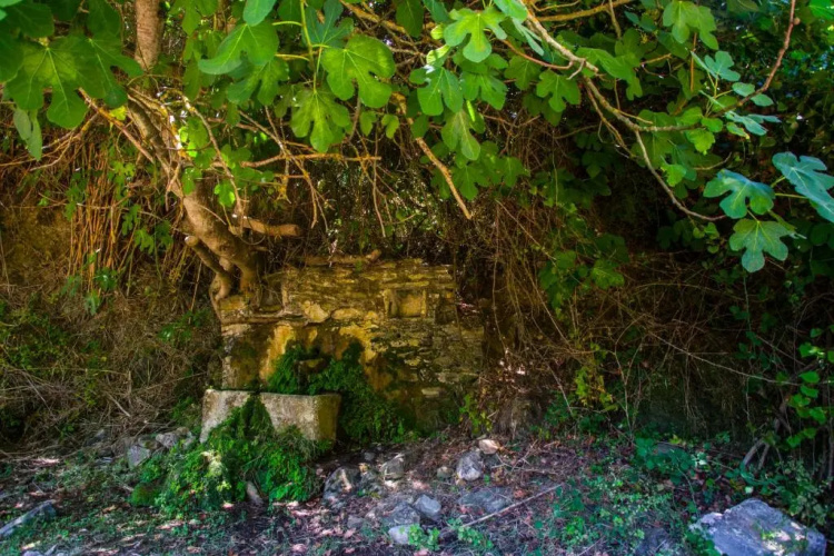 Iris' Traditional Stone House