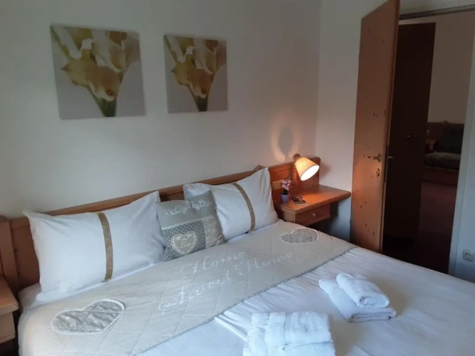 Standard Double room with mountain view