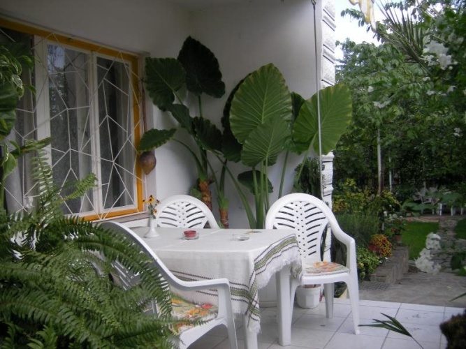 Outside