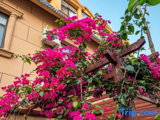 Yintan Zeyinju Hotel