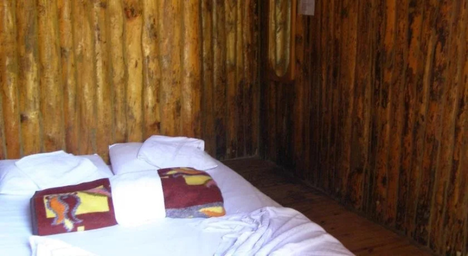 Jungle Bells Hostel