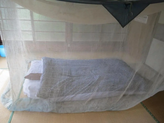 Bed in Dorm