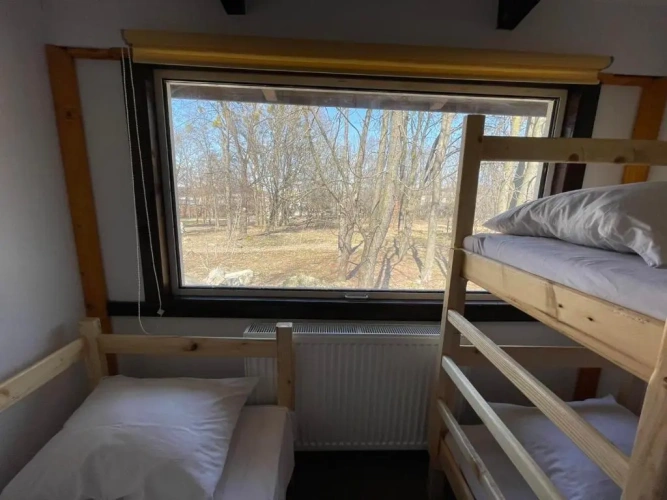 Bed in Dorm