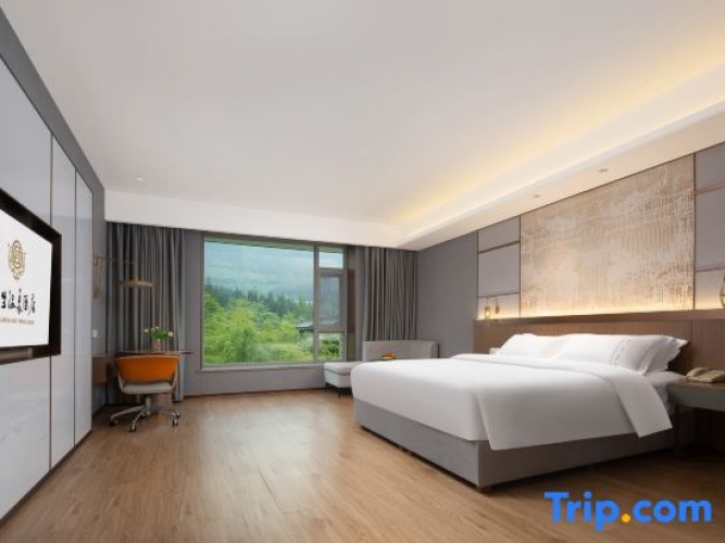 Standard Double room with garden view