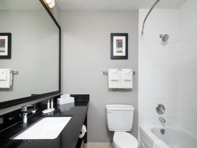 Standard Suite