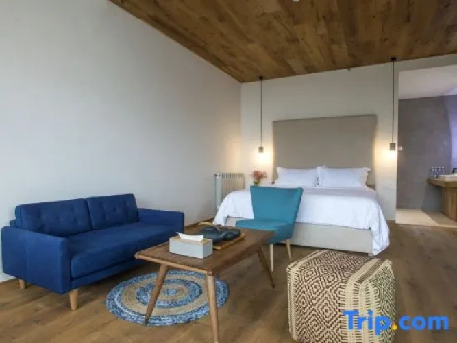 Duplex Suite