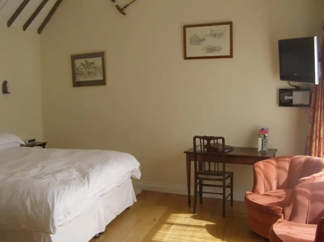 Basement Suite