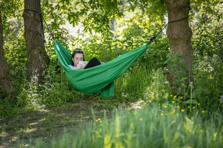 Lloyds Meadow Glamping