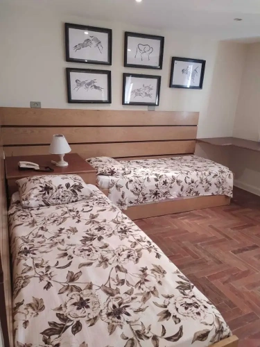 Standard Suite