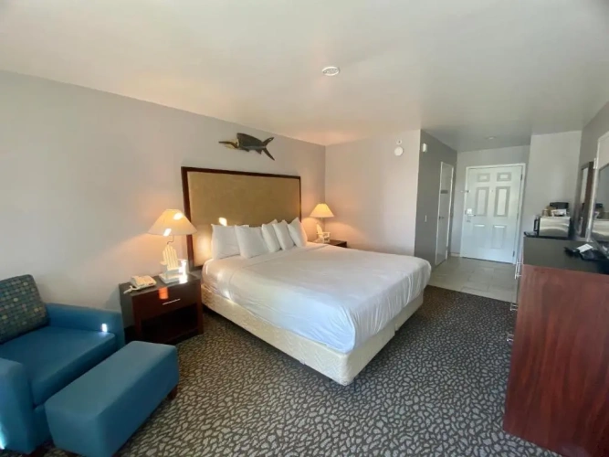 Standard Double room with balcony and with view